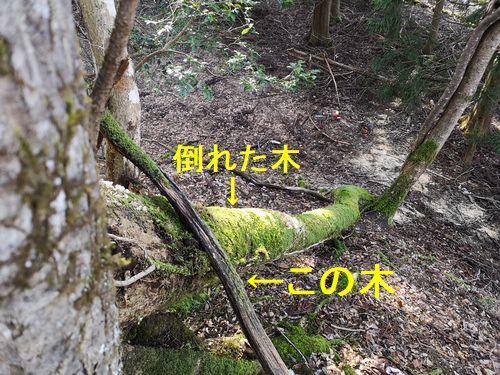 �᤯�ˤ��ä�����