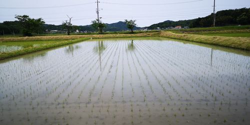 ÅÄ¿¢¤¨¤Ï̵»ö¤Ë½ªÎ»