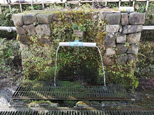 ͯ¿å¤òµâ¤ß¤Ë¹Ô¤¤Þ¤·¤¿