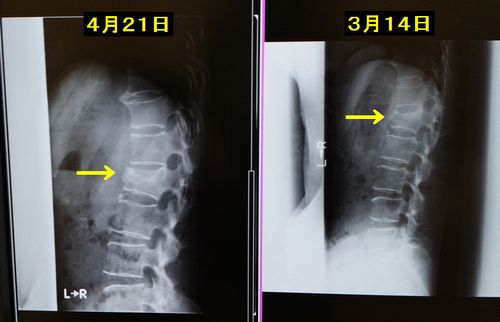 ¼ç¼£°å¤Î¿Ç»¡¤Ç¤¹