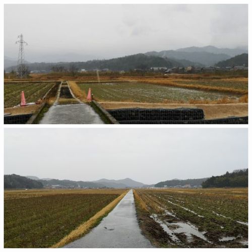 ��Τʤ��Ĥ��