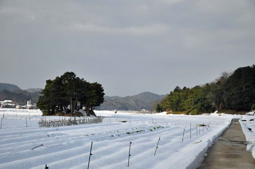 Ʋ������Ͻ���ΤϤ�����Ĥ�ܤ���