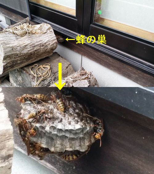 �����Υ��å��β��˥����ʥ��Х� (1)