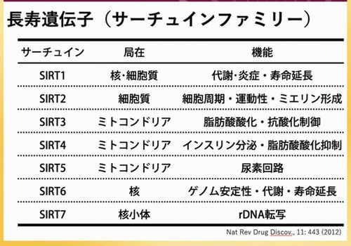 サーチュイン遺伝子は7種類あり