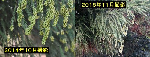 ��������ǯ�����