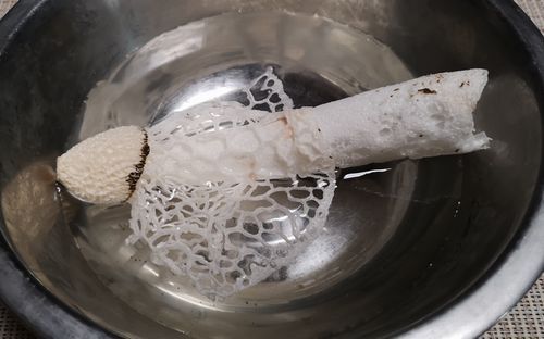 �������äƲ������館��λ