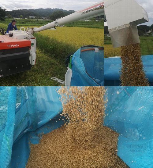 ����Х���Ǽ��Ϥ�����Ϸڥȥ�Υե쥳��˰ܤ��ޤ�