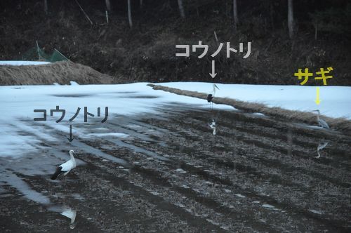 �����⸽��ޤ������ʡ�����