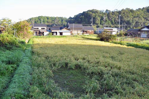 ����������Ŀ��򤷤Ƥ��飱�������ܤǼ��Ϥ�����ޤ��ޤ���