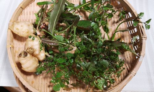 ºàÎÁ¤ÎÌîÁð¤Ï²æ¤¬²È¤ÎÄí¤ËÀ¸¤¨¤Æ¤¤¤ë»¨Áð