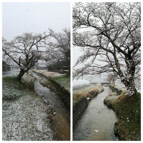 ��褤�κ�