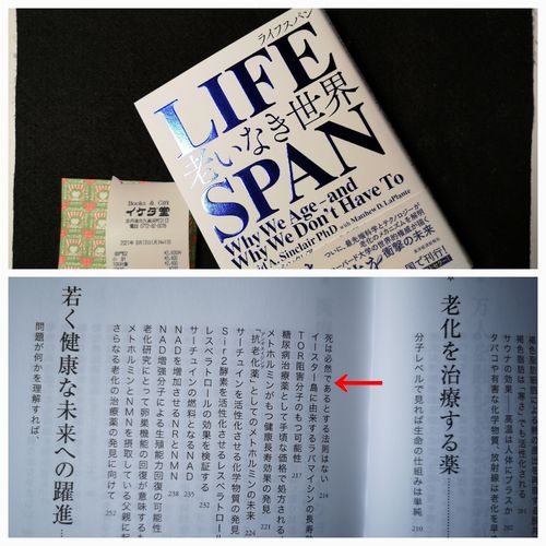 LIFE SPAN¡ÊÏ·¤¤¤Ê¤À¤³¦¡Ë