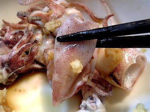 ���������������ޡ�����