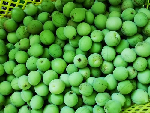 ��Kgʬ���¿����̤���Ϥ��ޤ���