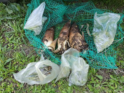 ���������ĺ��ʪ