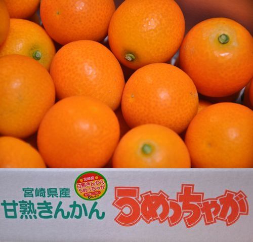 �ܺ�δ��ϥ��󥫥�֤���ä��㤬��