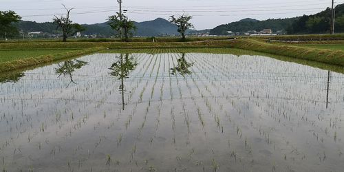 £¶·î£´Æü¤Ç£±£°Æü·Ð¤Á¤Þ¤·¤¿