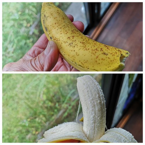 �¤�����̣��������ޤ���