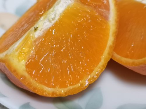 �̽����ˤ��߽ФƤ��ޤ�