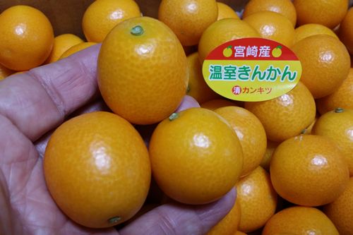 �ֲ������󤫤�פ��Ϥ��ޤ���
