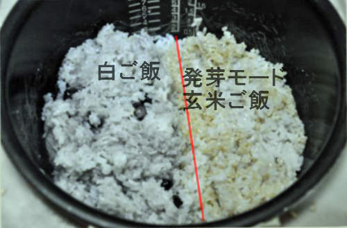 ������ʤ��褦���̡��˺����ޤ�