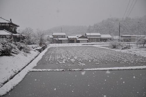 ��������壱���᤮�����ä����㲽�ѤǤ�