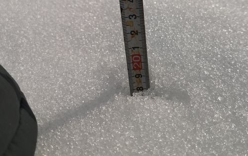 ͽ�ۤ�꾯�ʤ��Ǥ�