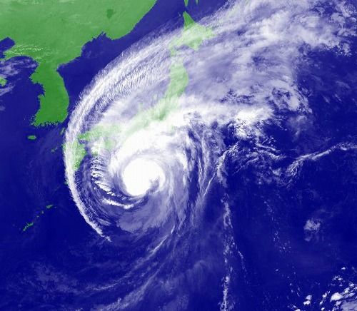 �������������������������