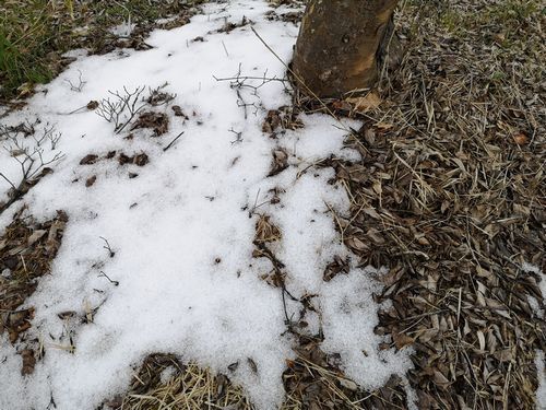 ��ޥܥ����κ����ˤ�