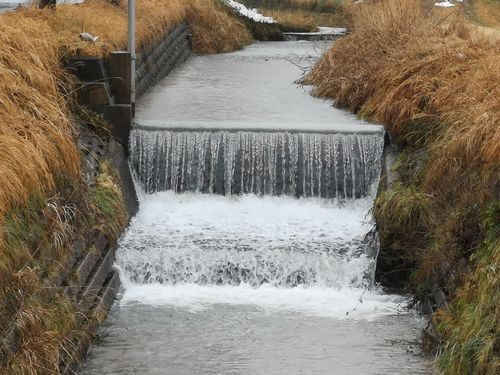 ��ο����򤱿��