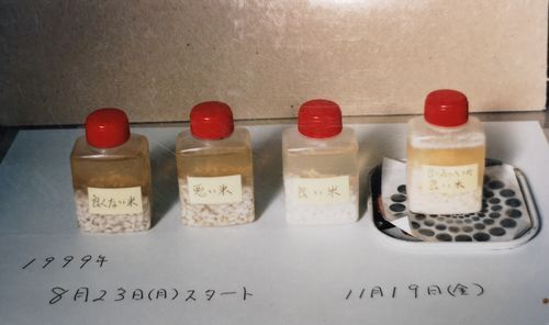 ����������μ̿��Ǥ�