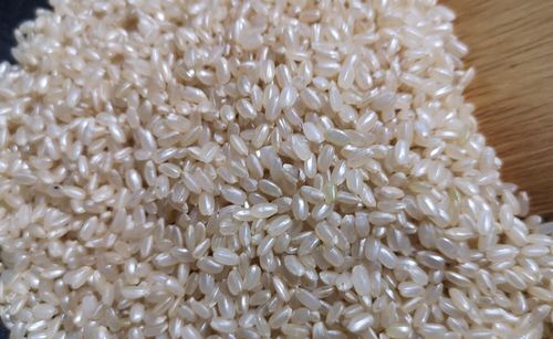 ��ʬ�ۤɤ���ȸ��Ƥ˥ĥ䤬�Ǥ�