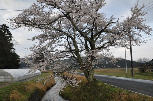��褤�Υ��ᥤ�襷�Τ������Ǥ�