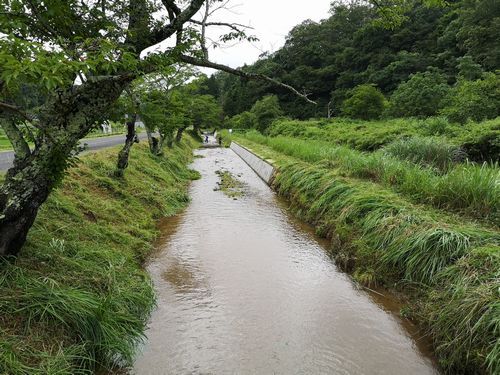 休憩場所まで刈りました