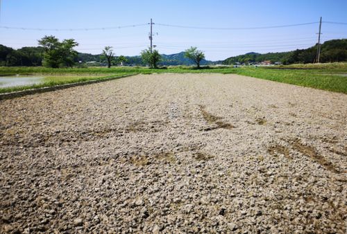 ���ߤ��ϣ�������ǡ��Ŀ����ϣ�������ͽ��Ǥ���������