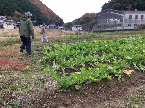 35E2B5E3-3EEF-42C6-B136-35872CF14927