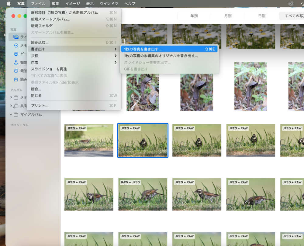 そうだったのか！今頃知った衝撃の事実！！（Mac篇） : 目指せピカピカ生き物写真！byおおよど企画