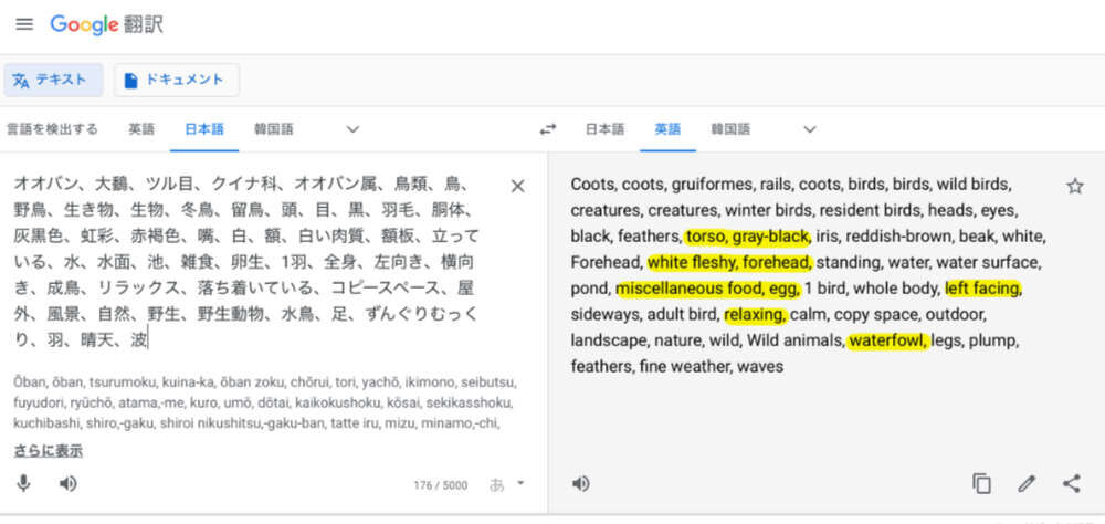 英語でタグ付けーgoogle翻訳の落とし穴ー 目指せピカピカ生き物写真 Byおおよど企画 英語でタグ付けーgoogle翻訳の落とし穴ー 目指せピカピカ生き物写真 Byおおよど企画