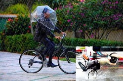 umbrella