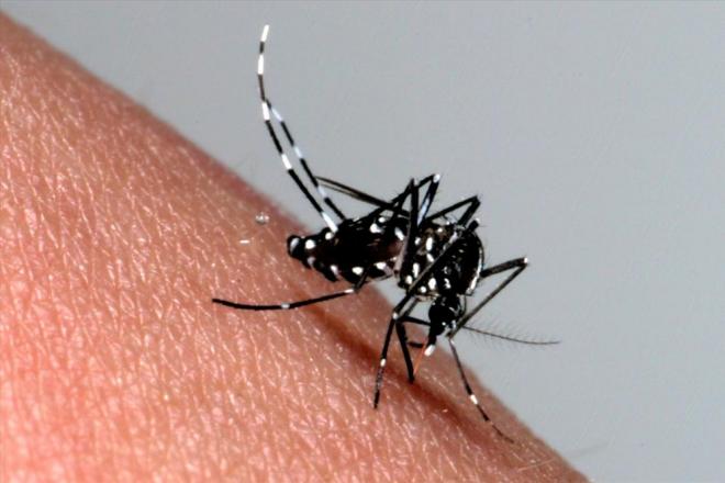 よい子わるい子ふつうの子２ 仮