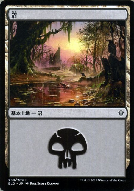 swamp