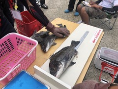 61D0BA14-8F29-4ABD-B2F0-C65E4A63EA6B