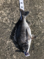 65B9E0B7-F7F7-4C01-9DC5-D5C1ABFA9750