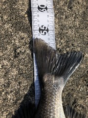 96DA9D05-6C85-408D-AF70-A36A066B9456