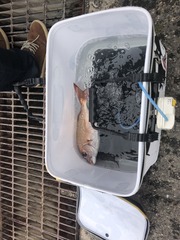 B093F051-BED4-4AC8-B6A9-CBA8B0E12D30