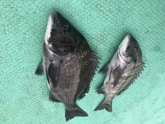 B354538E-212C-4D05-B9D6-E5AF18AA6D3D