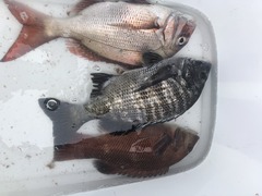 E21B3A17-52F5-4D87-A104-6CCBD3FAB7ED