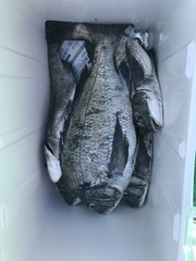 56F3F342-84E2-4B4D-BA01-26B8264A560C