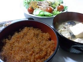 海のスッポン ごっこ卵丼 その6 完成 柏市から11 14 17 06と09 海のスッポン ごっこ卵丼 その6 完成 柏市から11 14 17 06と09