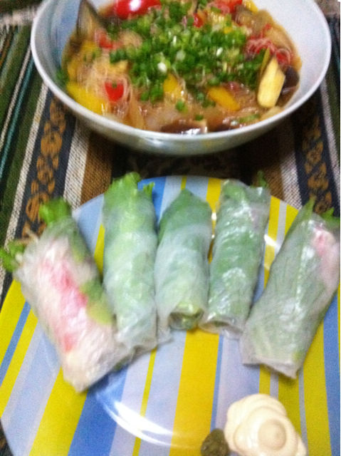 昨日のごはん 野菜ビーフン と 生春巻き 11 14 17 06と09